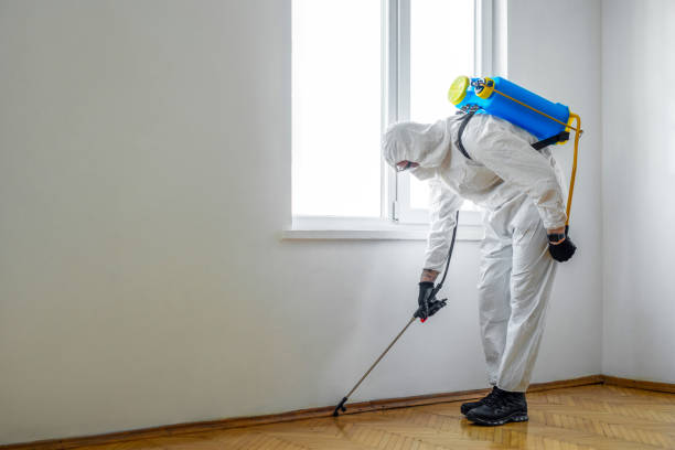 Best Best Pest Control Companies  in New Hyde Park, NY