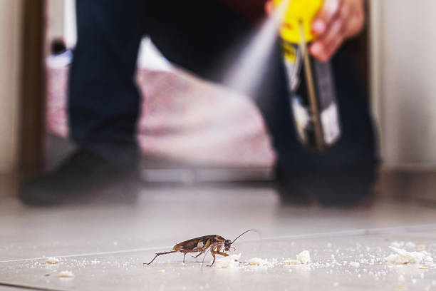 Best Commercial Pest Control Services  in New Hyde Park, NY