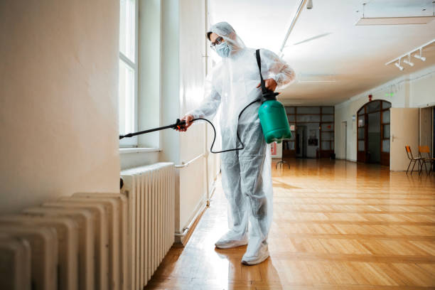 Best Pest Prevention Services  in New Hyde Park, NY