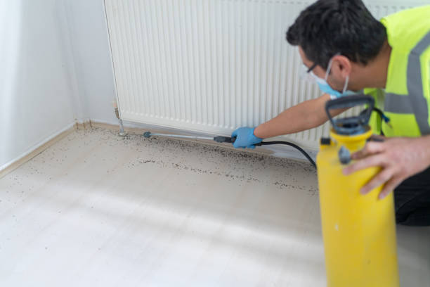 Best Affordable Pest Control Services  in New Hyde Park, NY