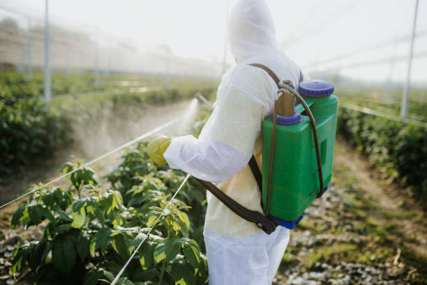 New Hyde Park, NY Pest Control Company